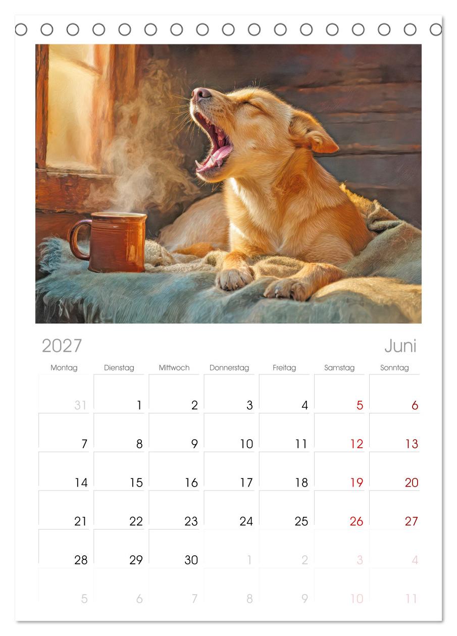 Hunde mit Charme - Illustrationen