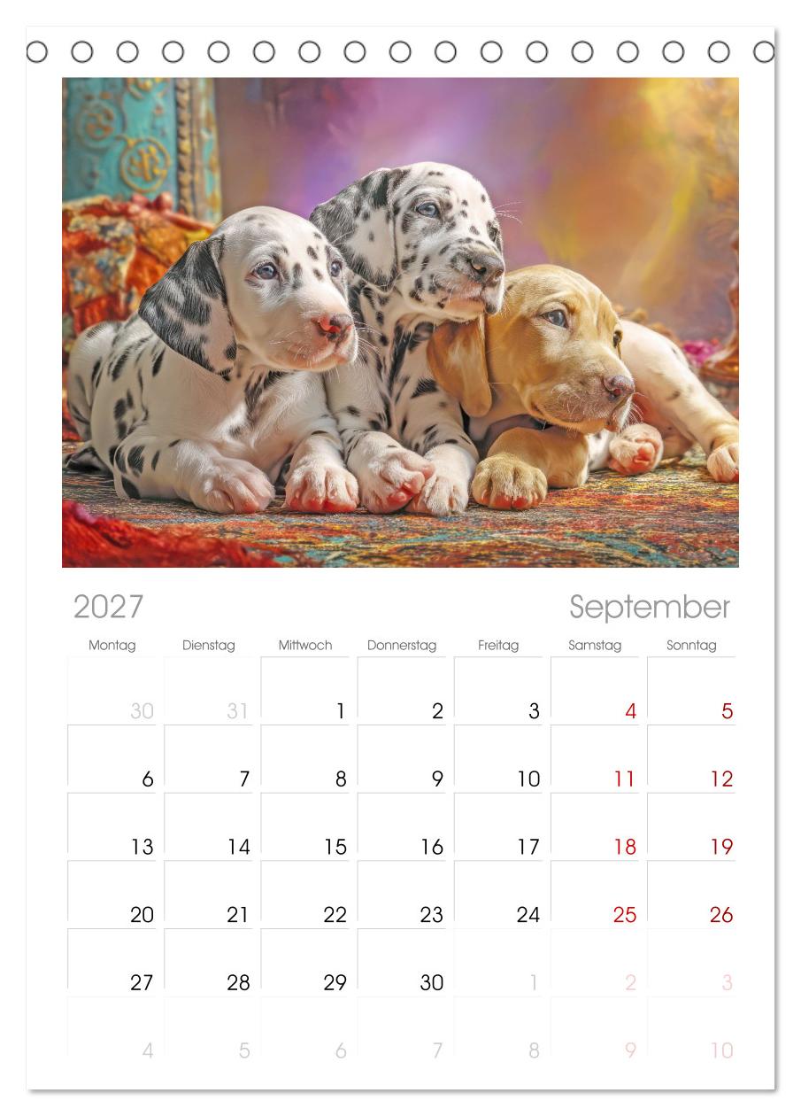 Hunde mit Charme - Illustrationen