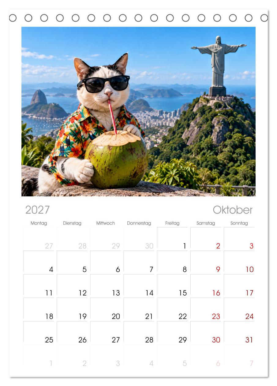 Eine Katze reist um die Welt