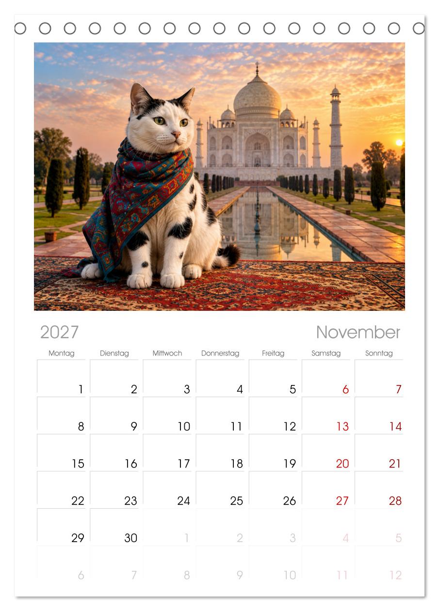 Eine Katze reist um die Welt