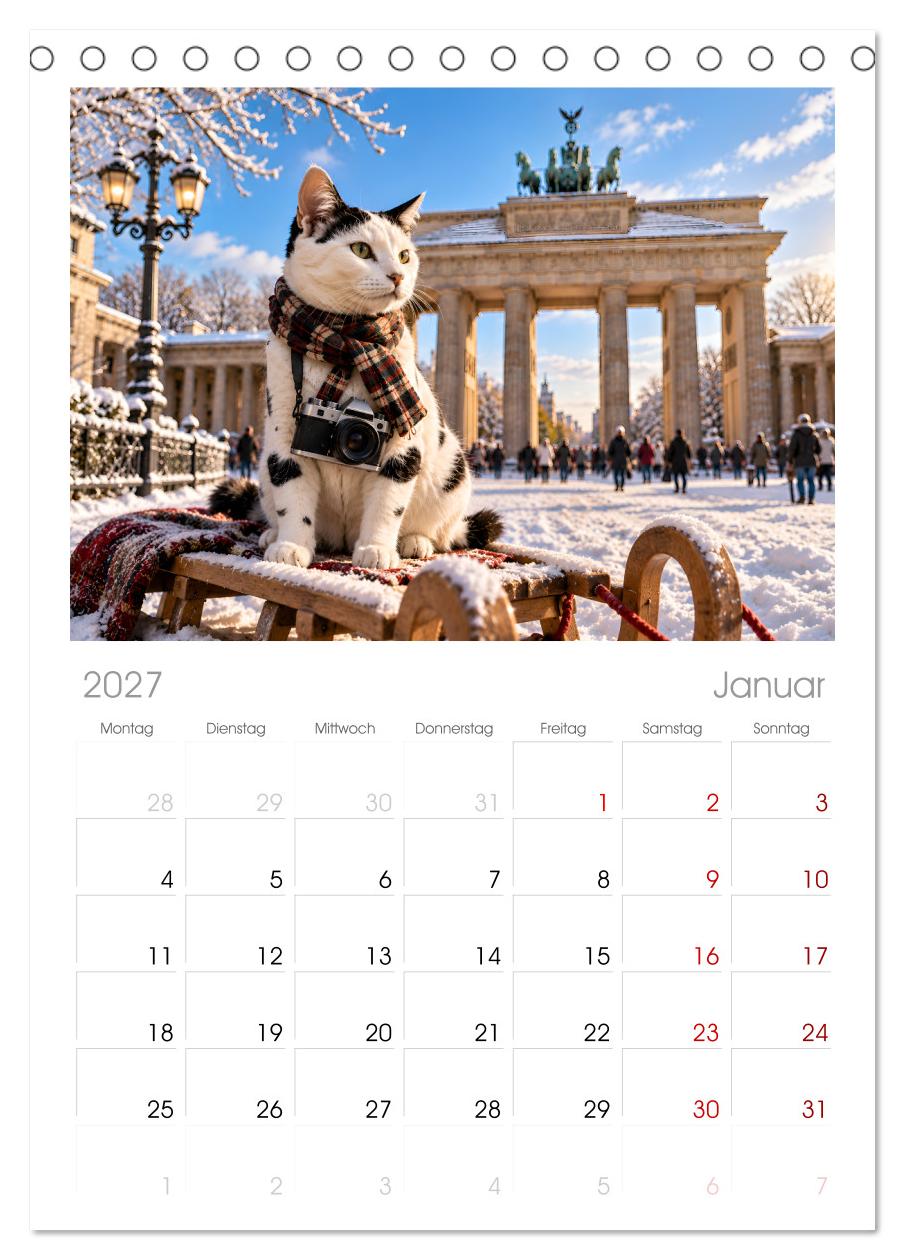 Eine Katze reist um die Welt