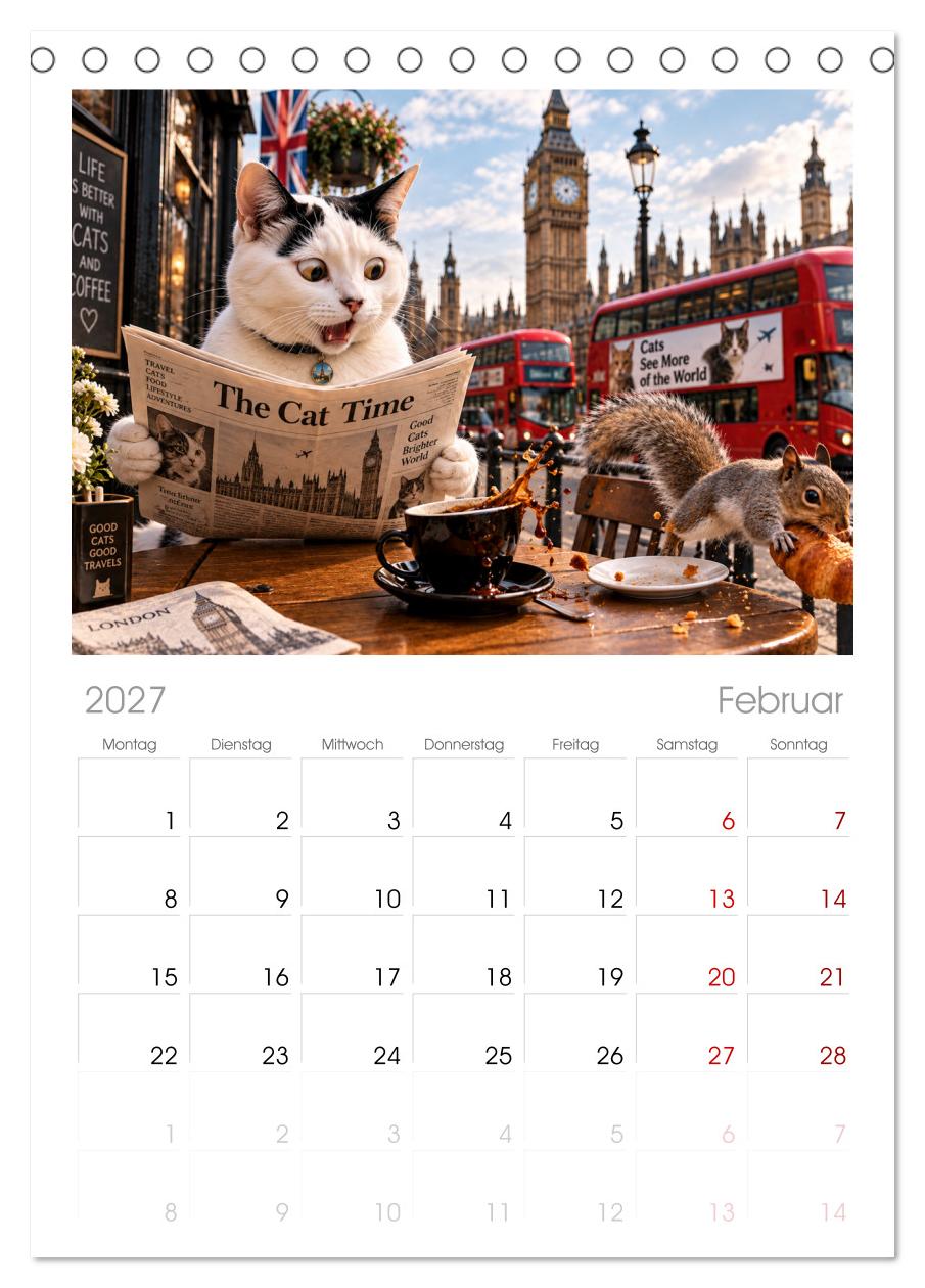 Eine Katze reist um die Welt