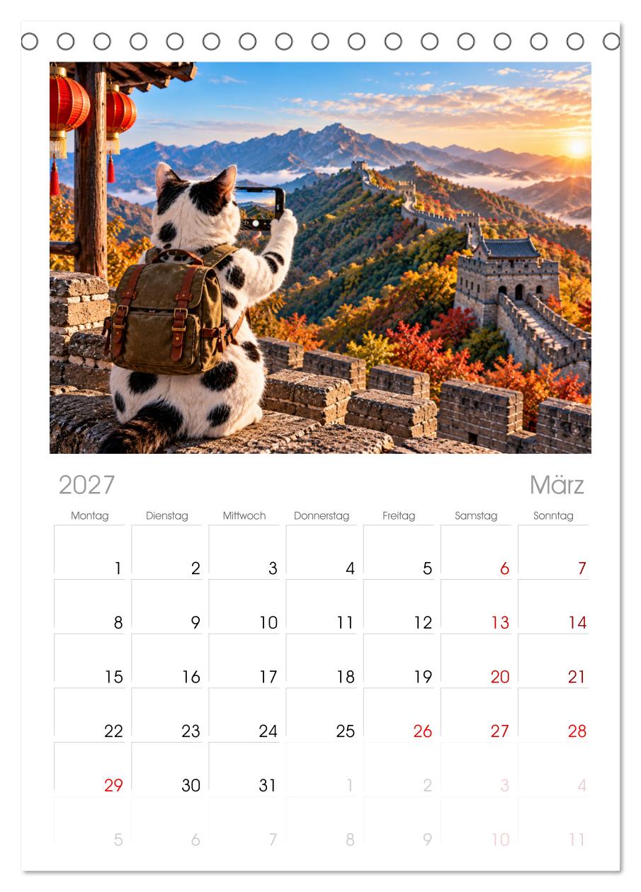 Eine Katze reist um die Welt