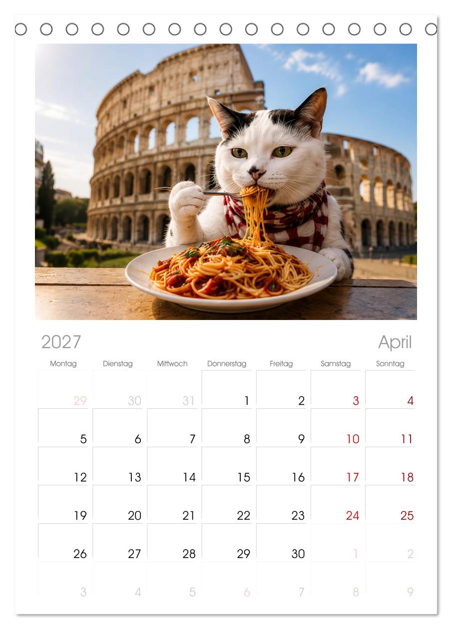 Eine Katze reist um die Welt