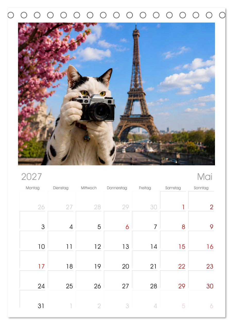 Eine Katze reist um die Welt