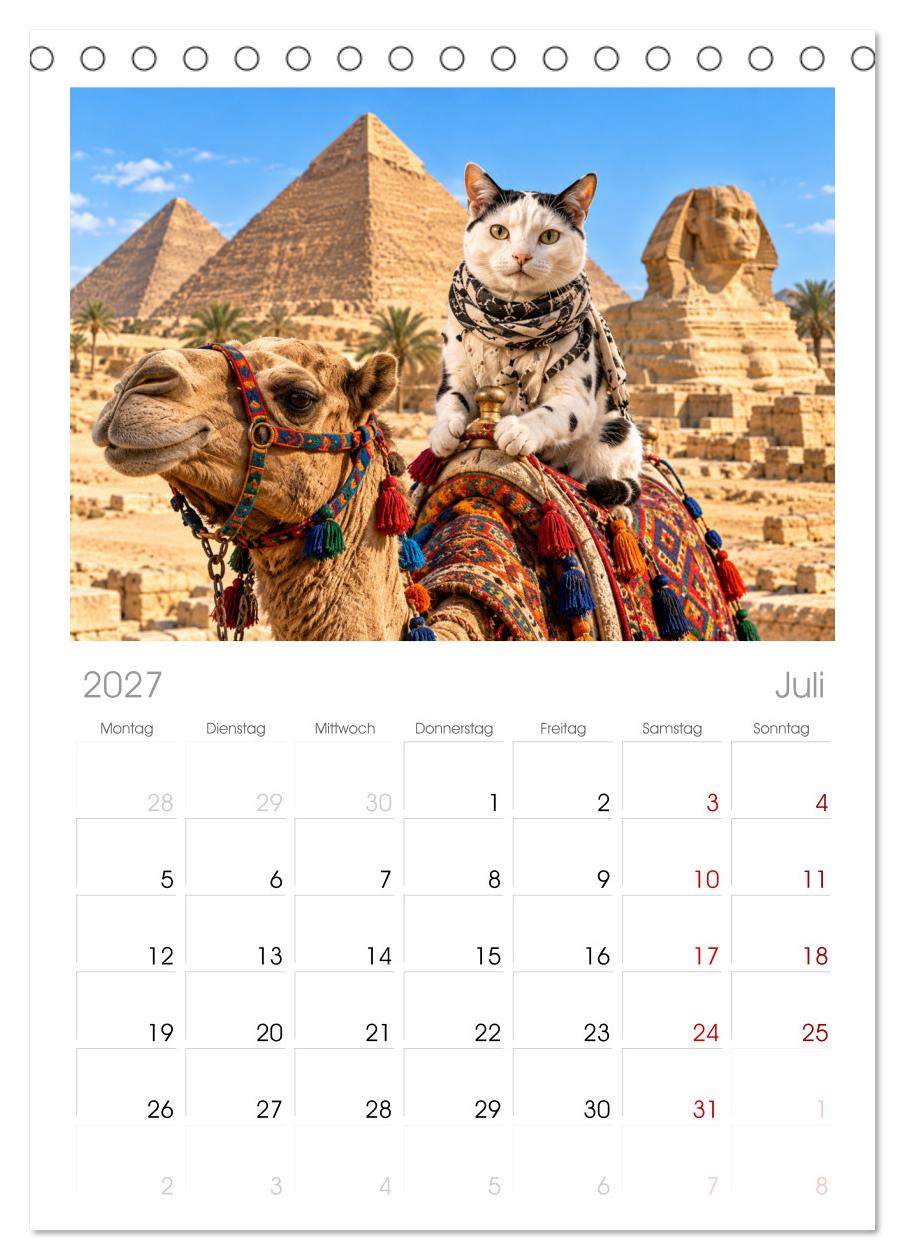 Eine Katze reist um die Welt