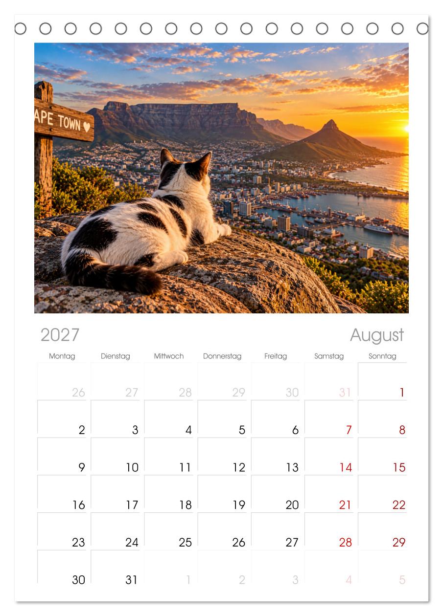 Eine Katze reist um die Welt