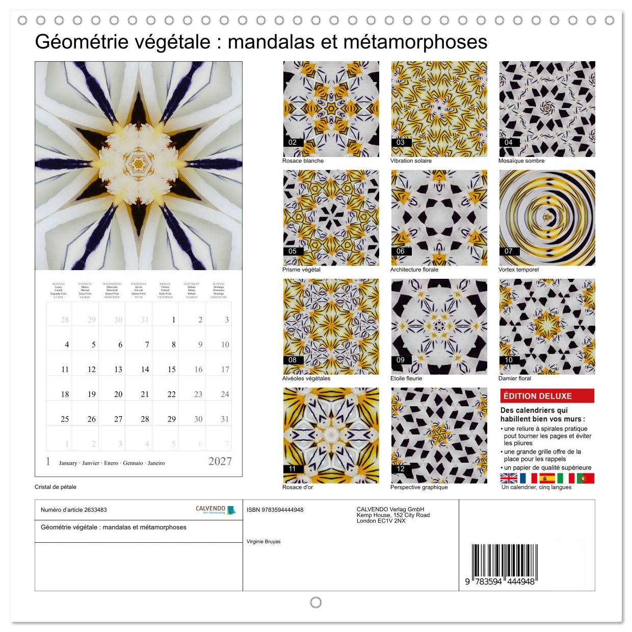 Géométrie végétale : mandalas et métamorphoses