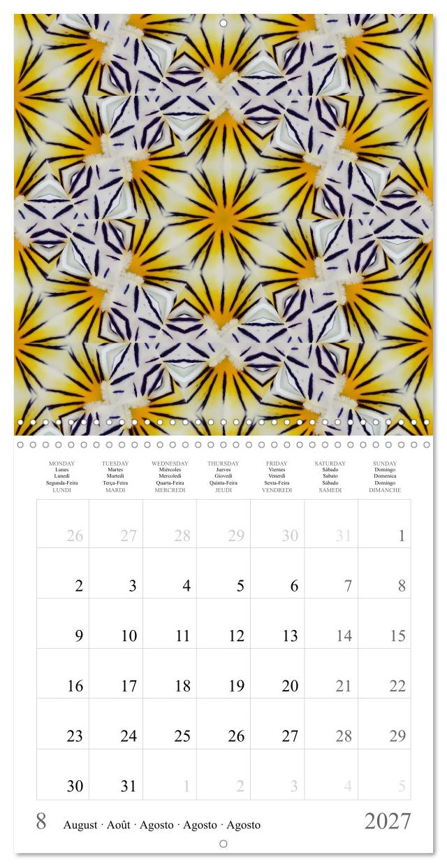 Géométrie végétale : mandalas et métamorphoses