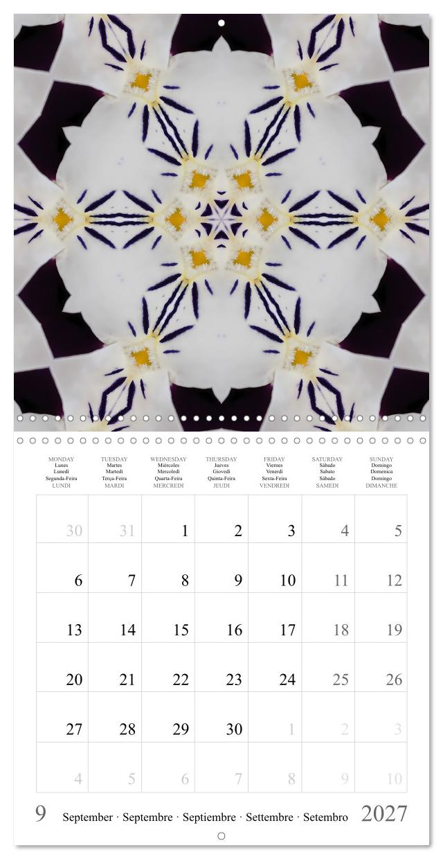 Géométrie végétale : mandalas et métamorphoses
