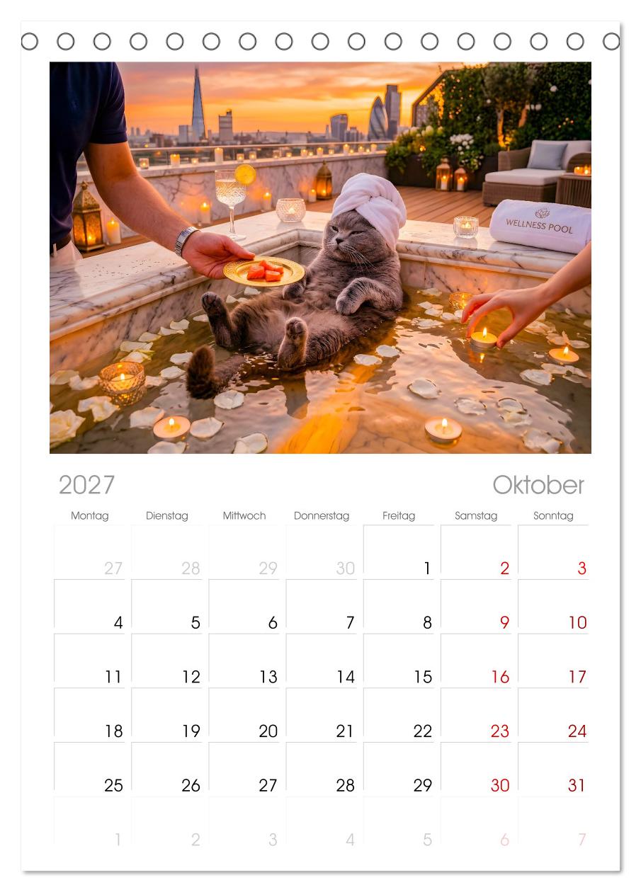 Alles für die Katze - Herrschaft Deluxe mit Charme und Wellness