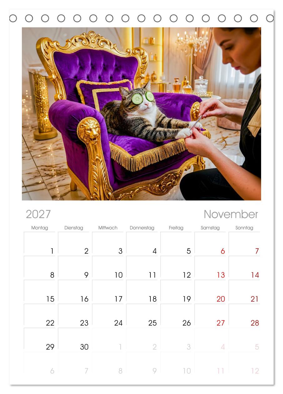 Alles für die Katze - Herrschaft Deluxe mit Charme und Wellness