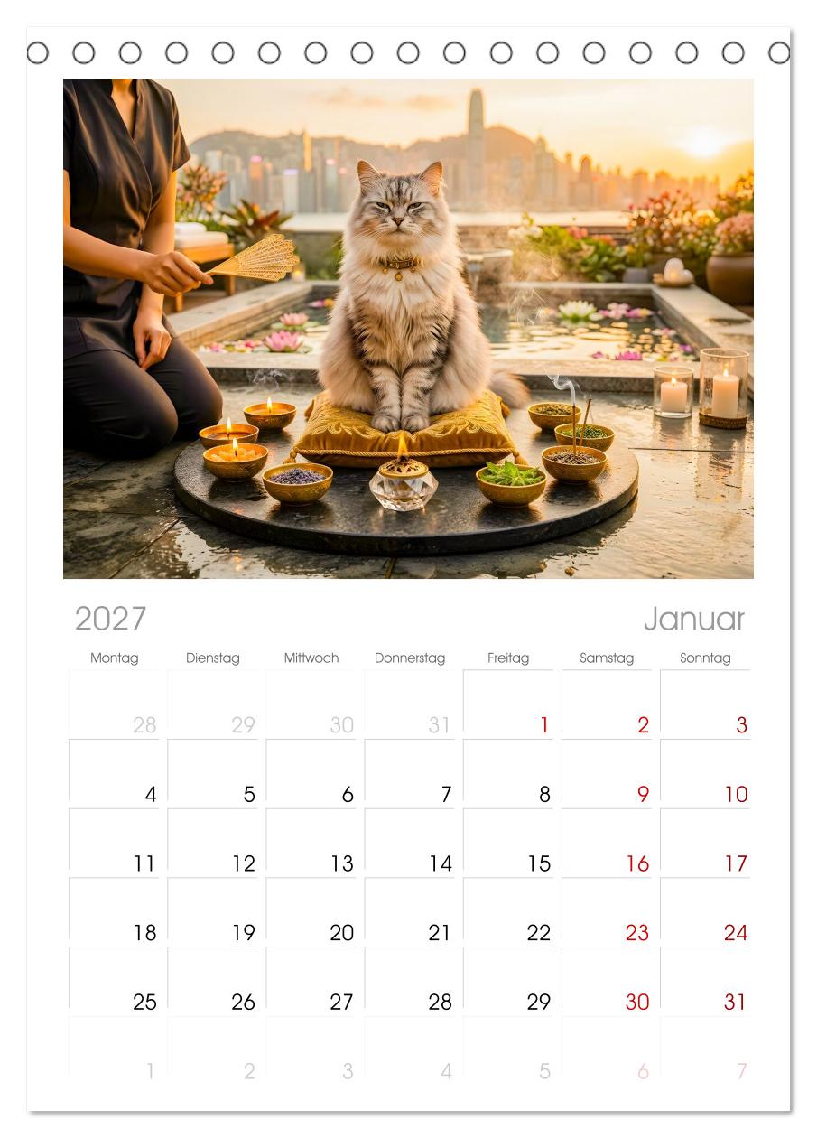 Alles für die Katze - Herrschaft Deluxe mit Charme und Wellness