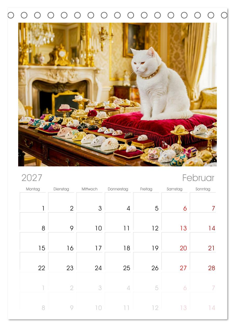 Alles für die Katze - Herrschaft Deluxe mit Charme und Wellness