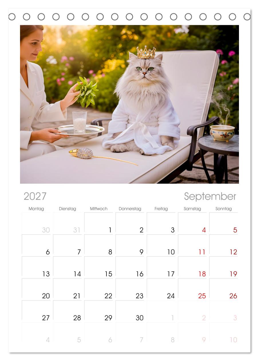 Alles für die Katze - Herrschaft Deluxe mit Charme und Wellness