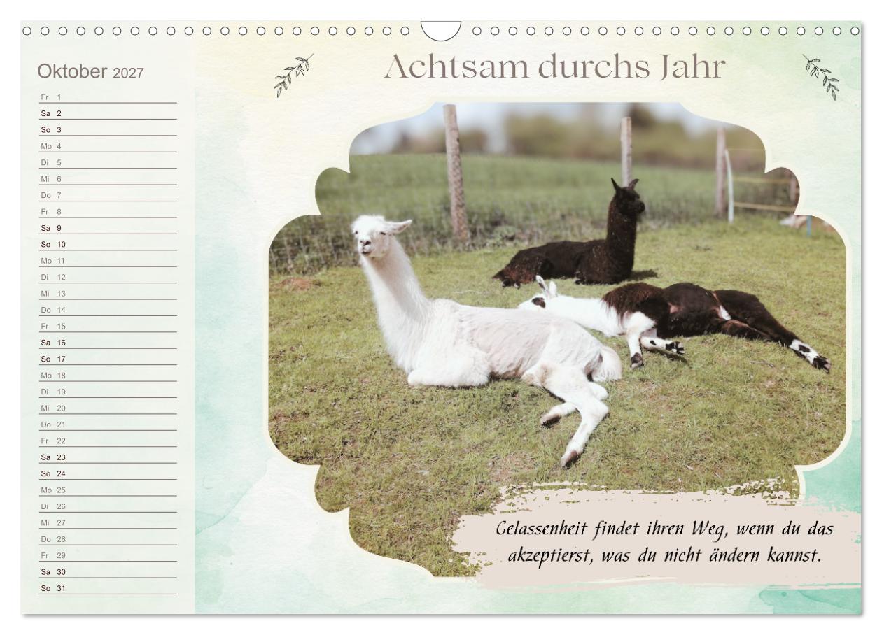 Achtsam durchs Jahr mit Lamas und Alpakas