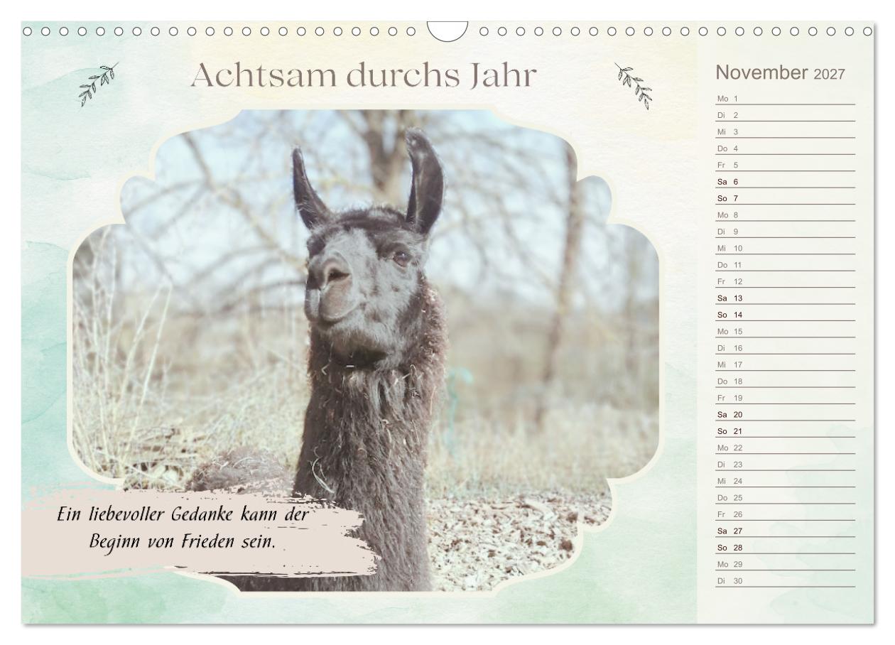 Achtsam durchs Jahr mit Lamas und Alpakas