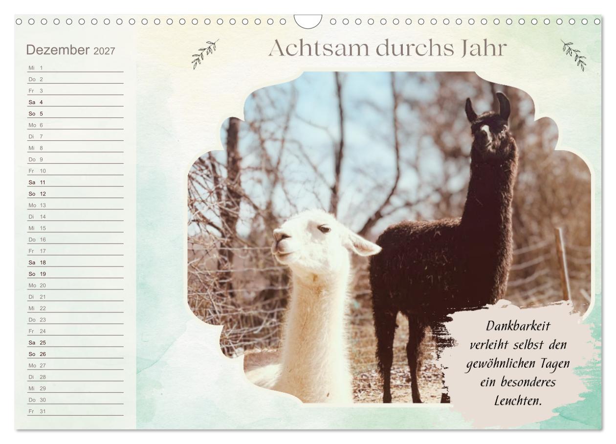 Achtsam durchs Jahr mit Lamas und Alpakas