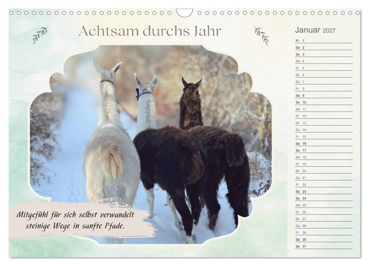 Achtsam durchs Jahr mit Lamas und Alpakas