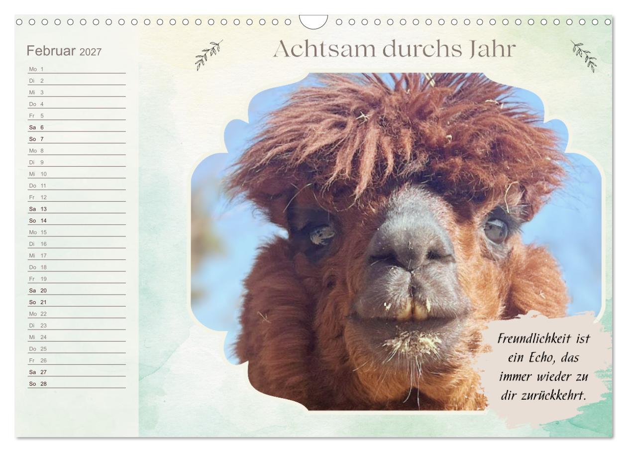 Achtsam durchs Jahr mit Lamas und Alpakas