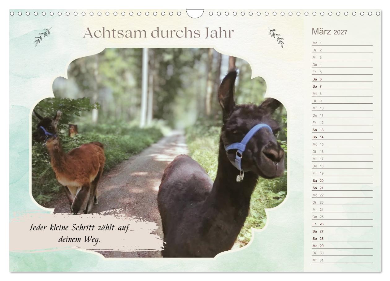 Achtsam durchs Jahr mit Lamas und Alpakas