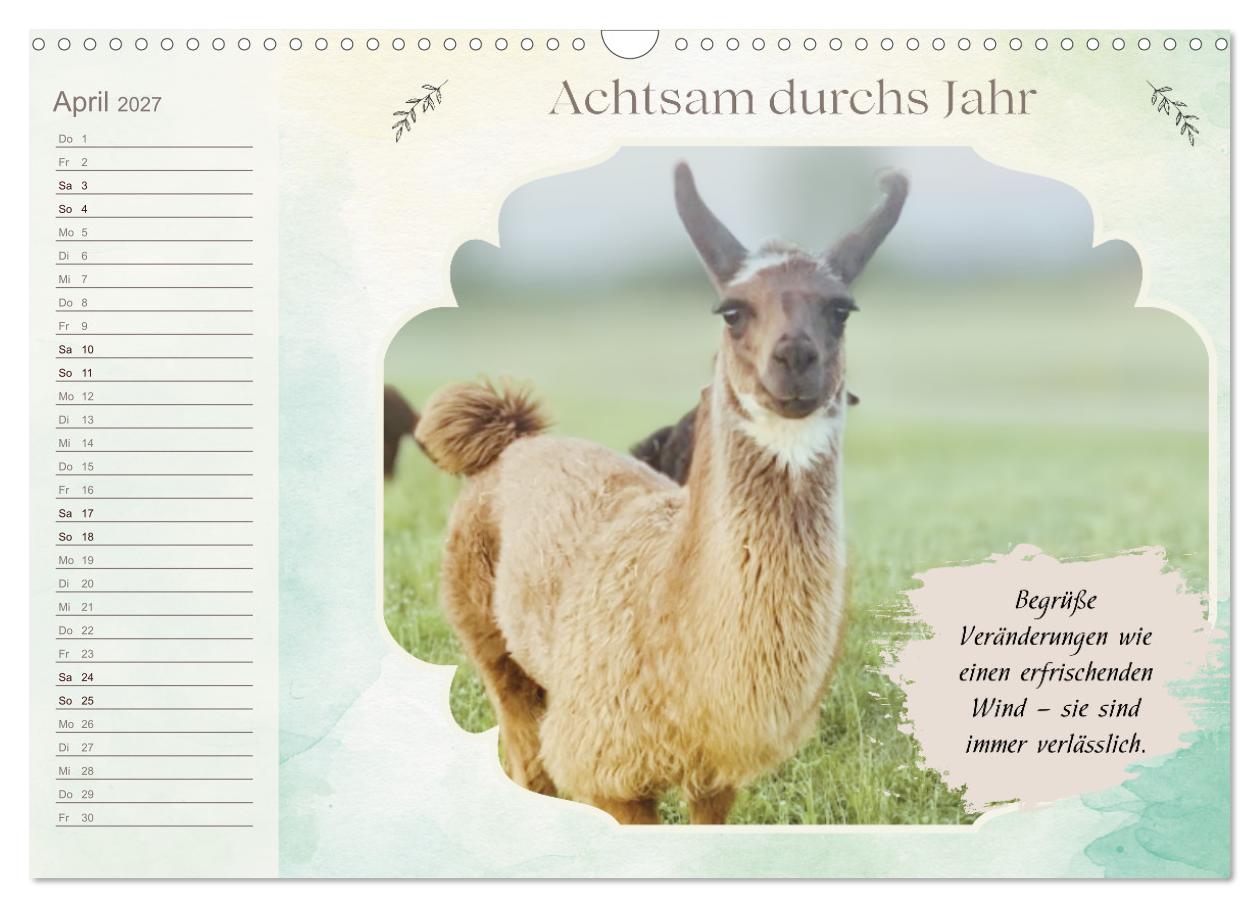 Achtsam durchs Jahr mit Lamas und Alpakas
