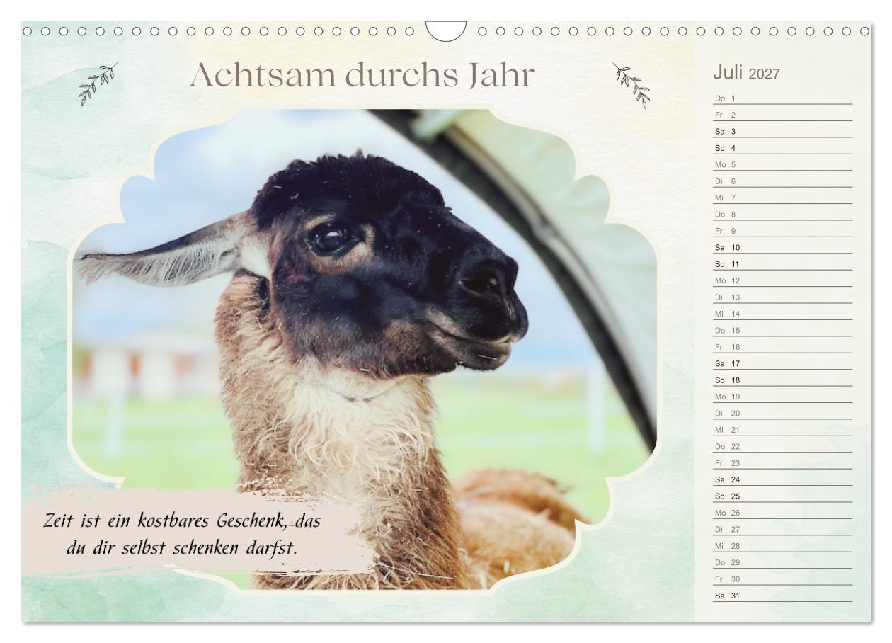 Achtsam durchs Jahr mit Lamas und Alpakas