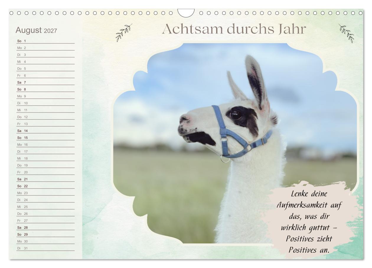 Achtsam durchs Jahr mit Lamas und Alpakas