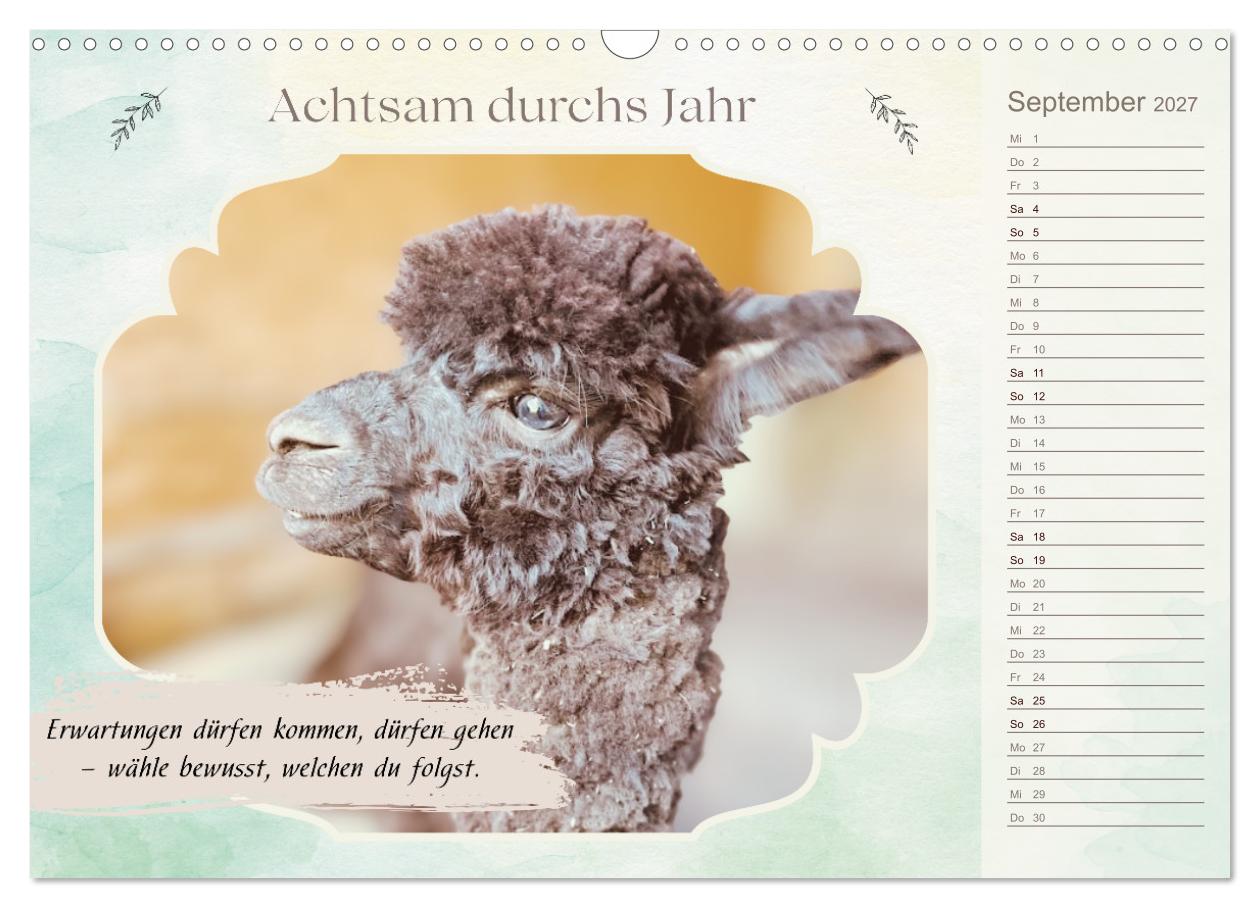 Achtsam durchs Jahr mit Lamas und Alpakas