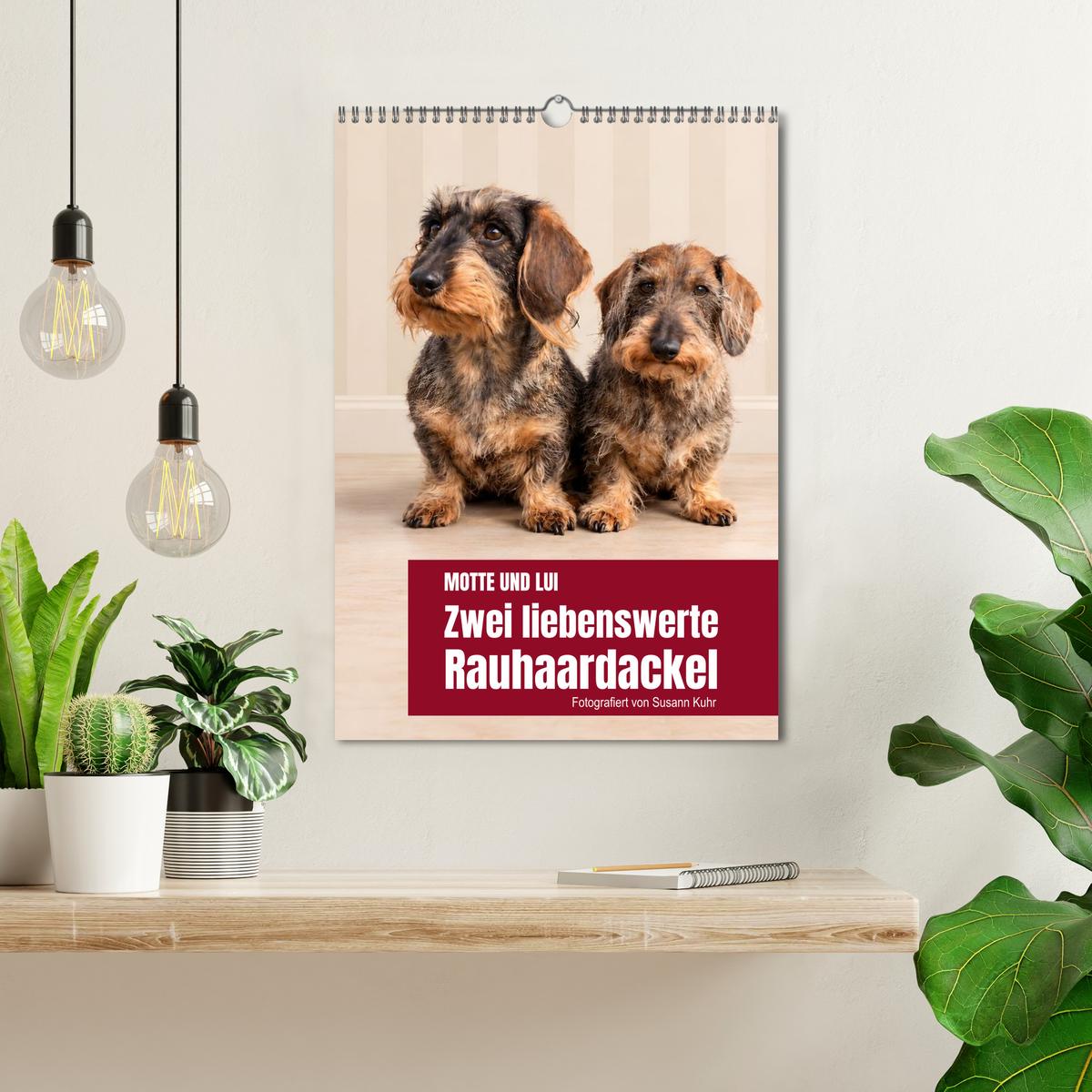 Motte und Lui. Zwei liebenswerte Rauhaardackel.