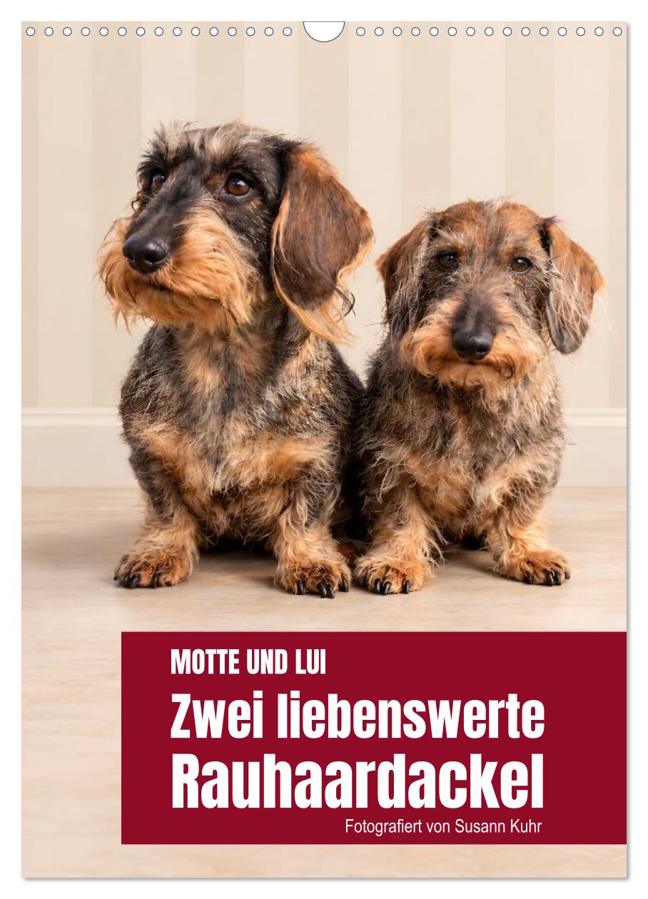 Motte und Lui. Zwei liebenswerte Rauhaardackel.
