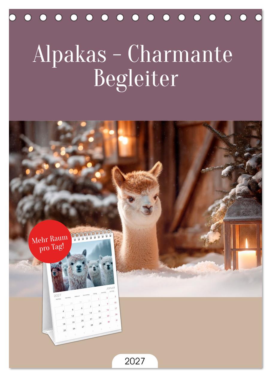 Alpakas - Charmante Begleiter