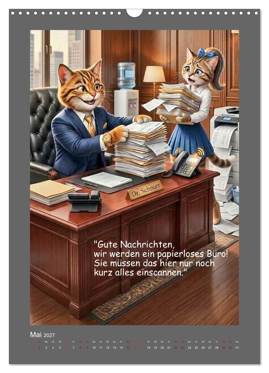 Katzen-Sarkasmus Aus dem Leben überforderter Bürokatzen