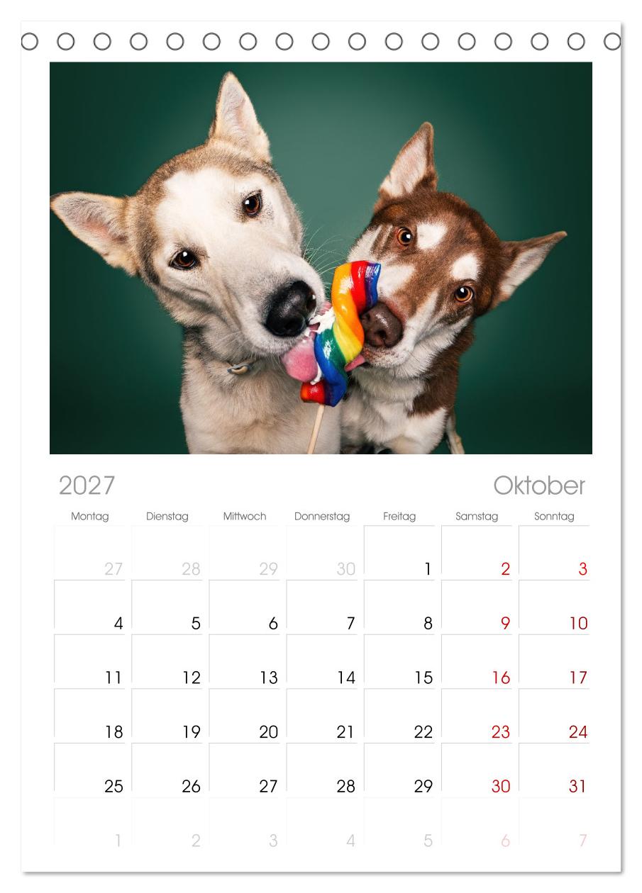 Hunde im Naschparadies ... wo jeder Monat zum Anbeißen ist