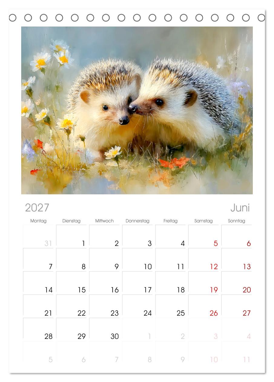 Igel. Kleine Glücksbringer im Garten