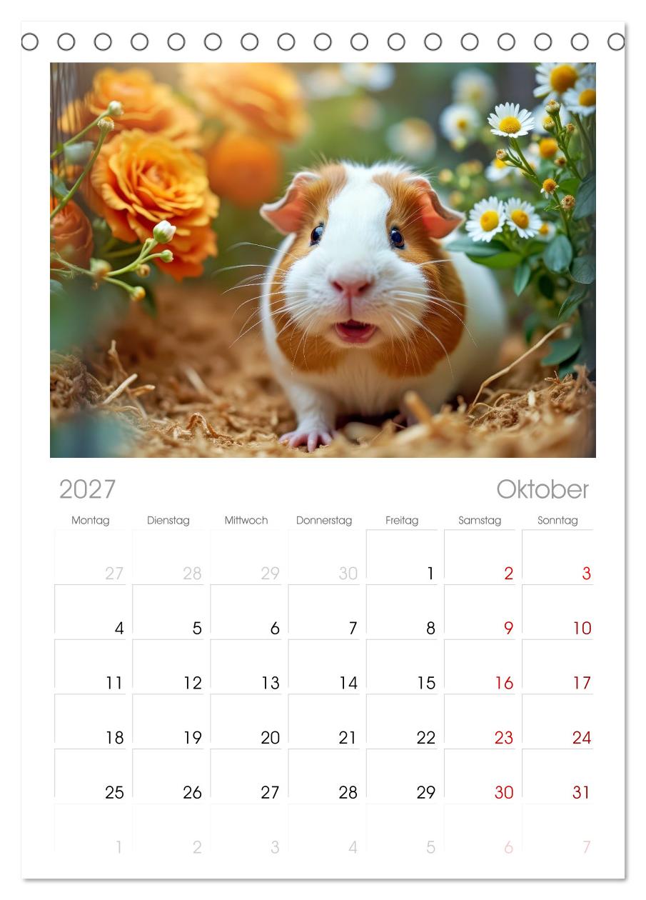 Süße Meerschweinchen
