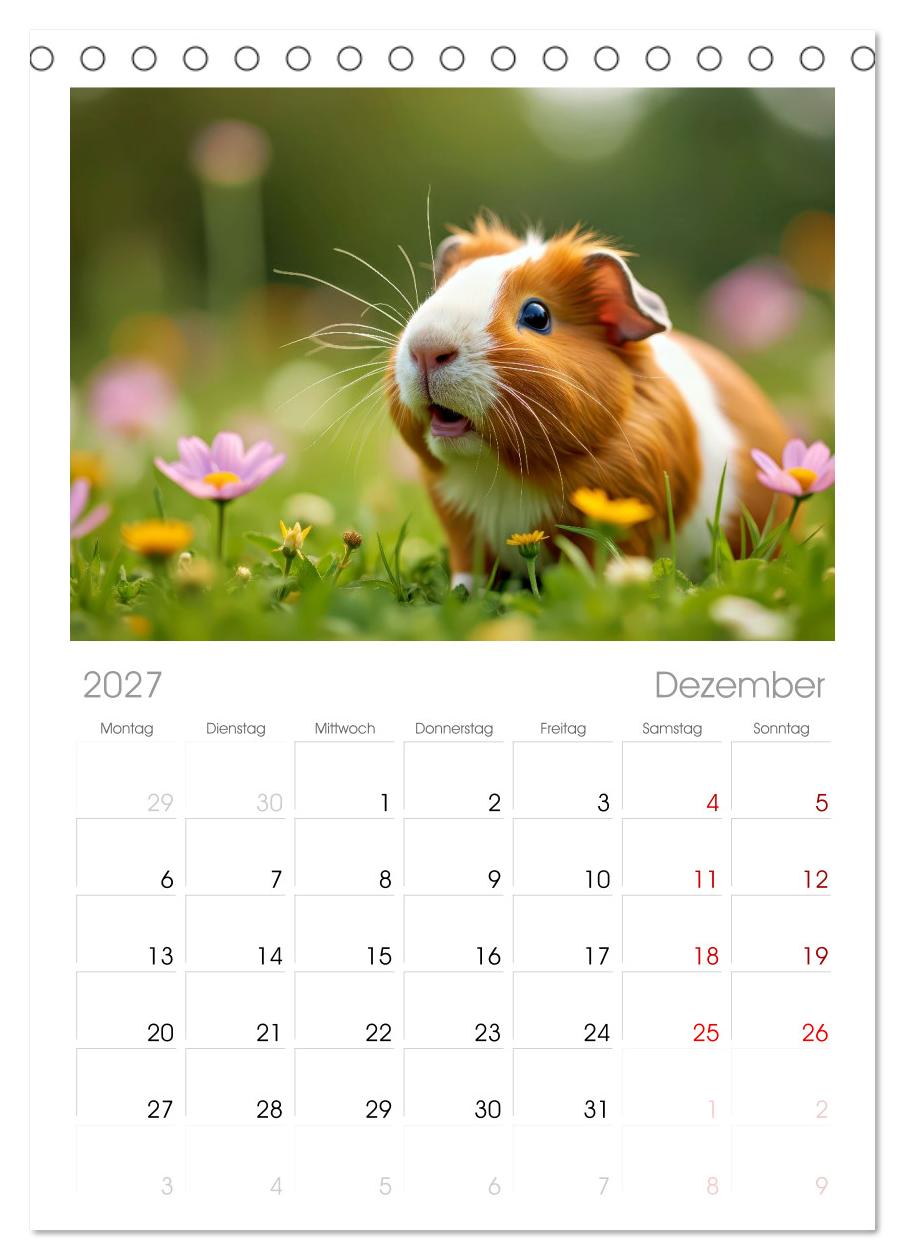 Süße Meerschweinchen