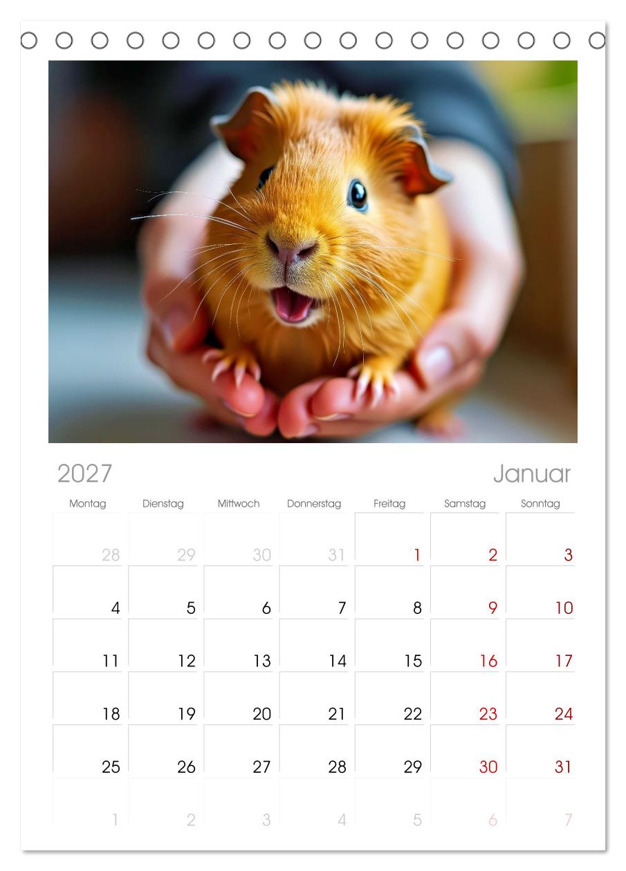 Süße Meerschweinchen