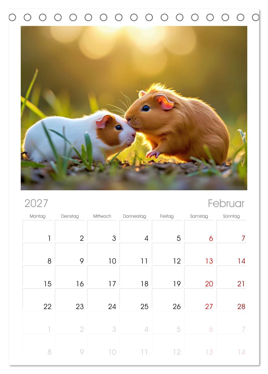 Süße Meerschweinchen