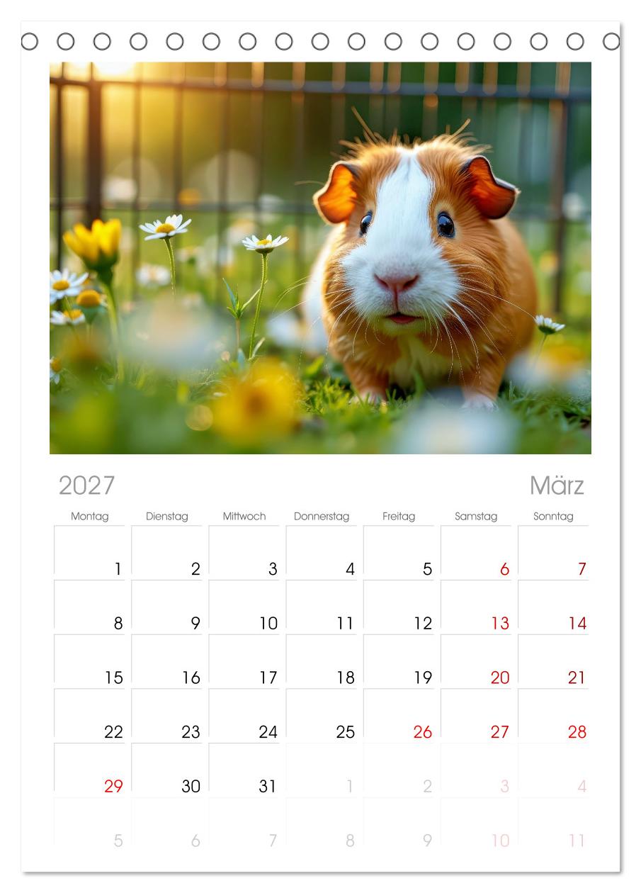 Süße Meerschweinchen