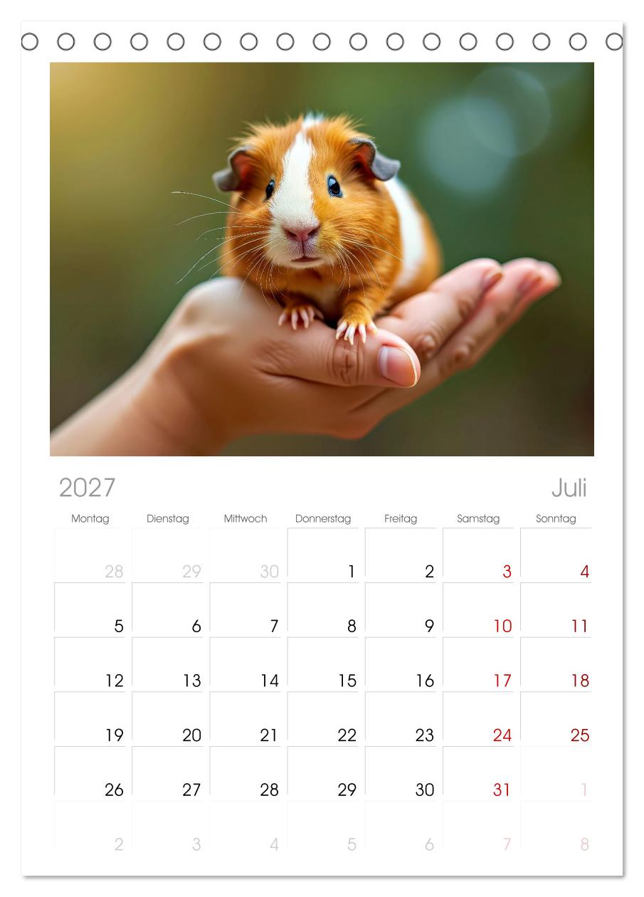 Süße Meerschweinchen