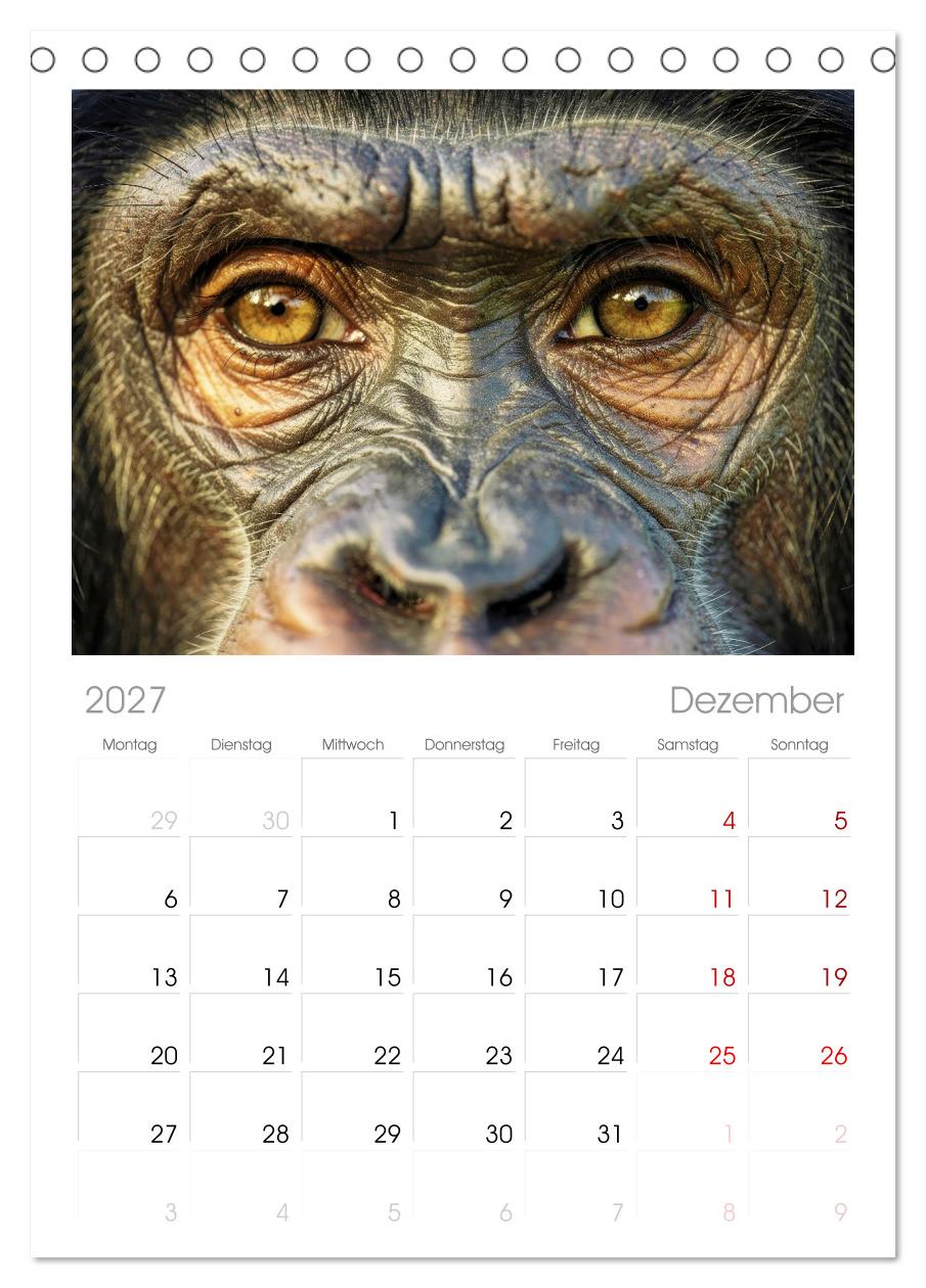 Die Augen der Wildnis