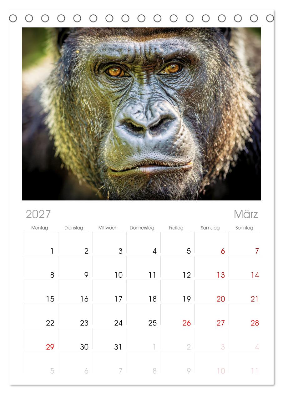 Die Augen der Wildnis