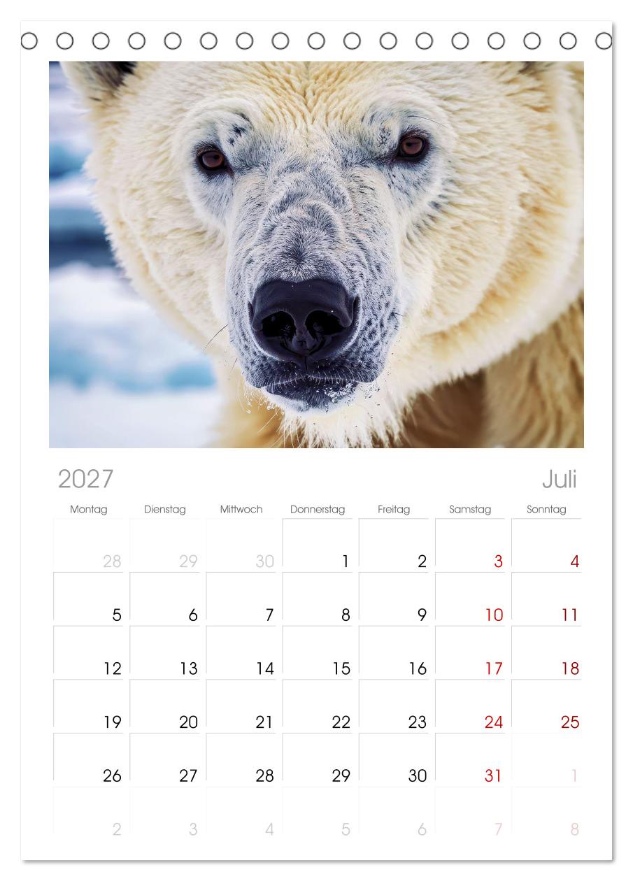 Die Augen der Wildnis