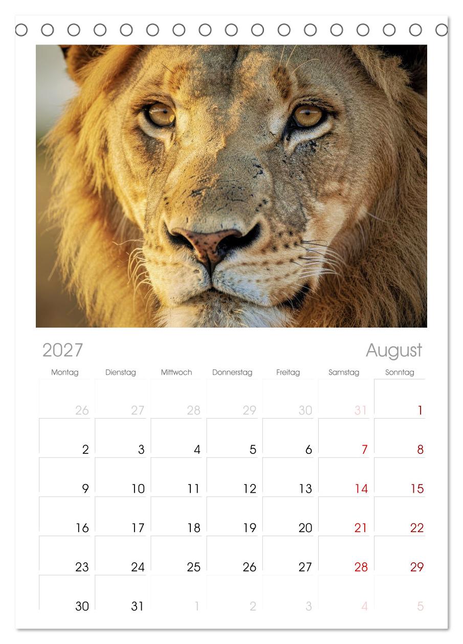Die Augen der Wildnis