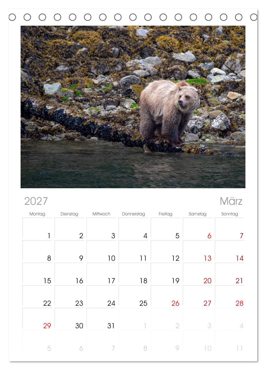 Grizzlys und Geisterbären - Glendale Cove, Kanada