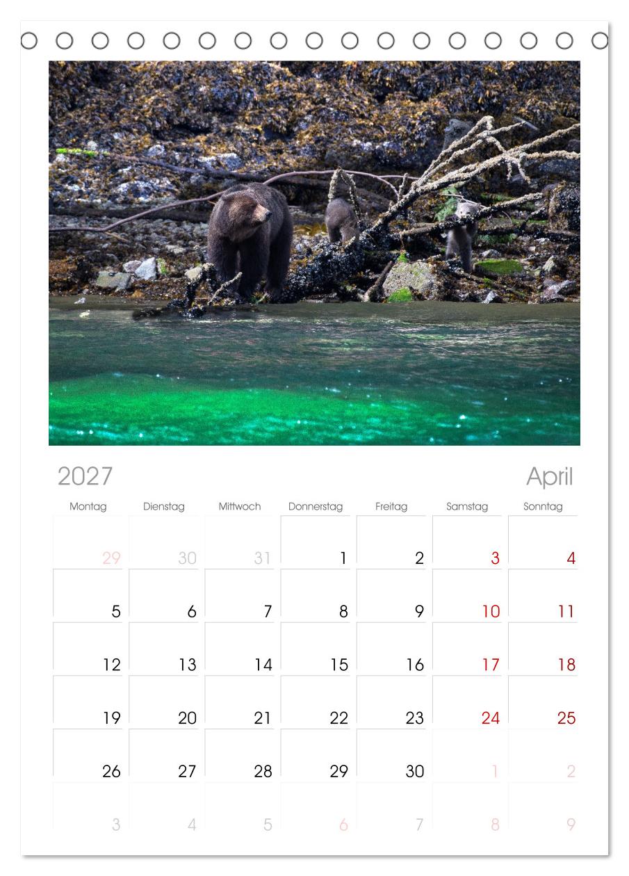 Grizzlys und Geisterbären - Glendale Cove, Kanada