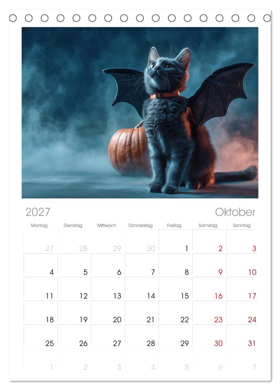 Miau mit Stil