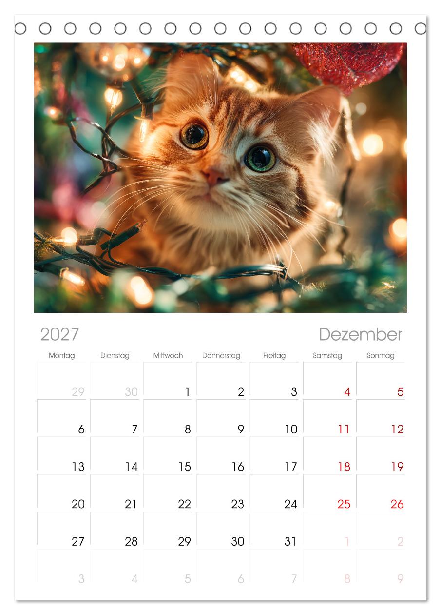 Miau mit Stil