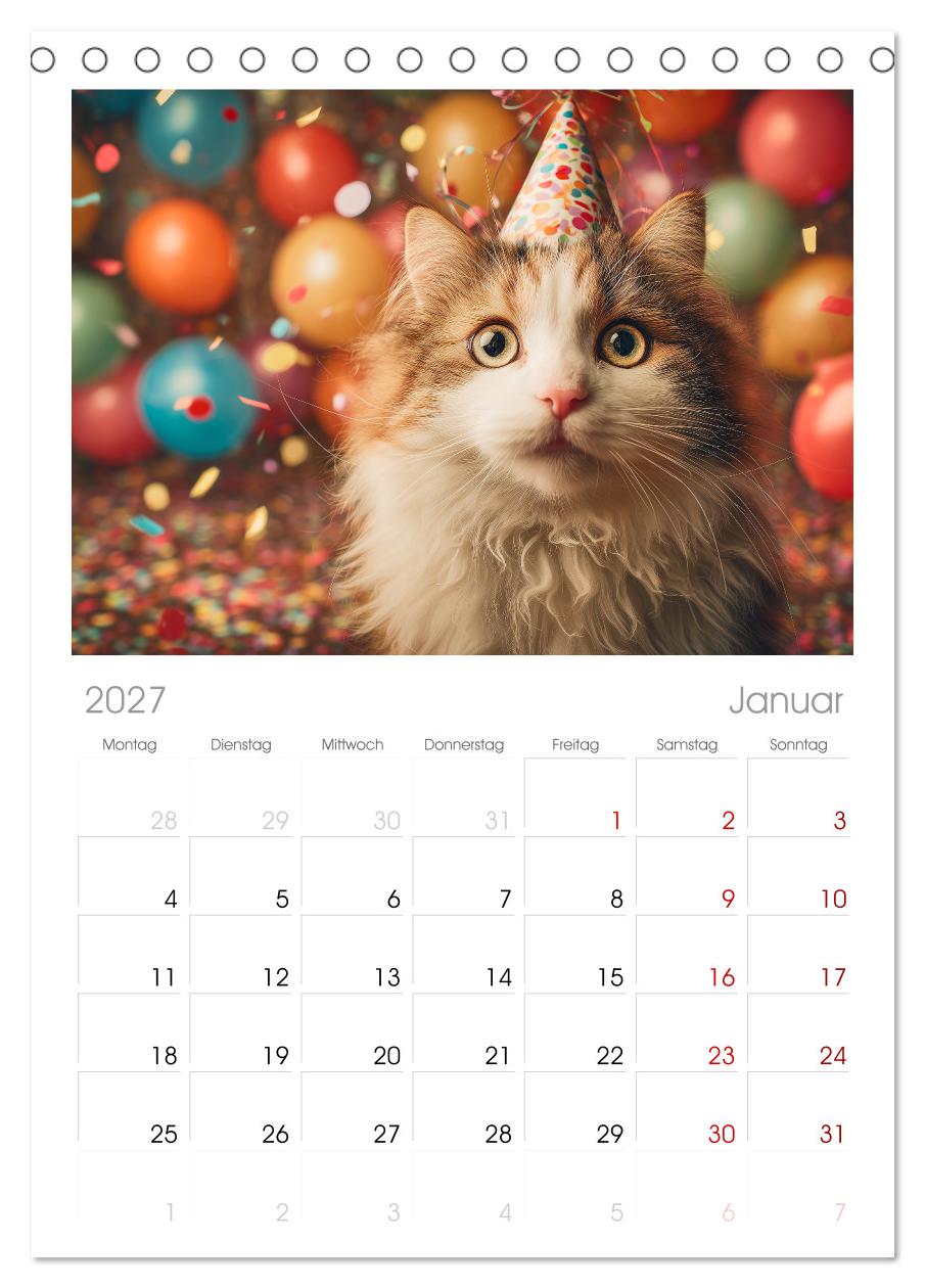 Miau mit Stil